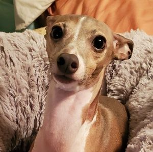 Meet your Posher, Terri